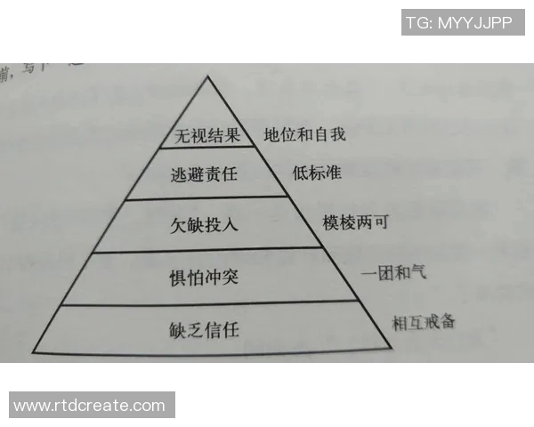重庆篮球队与深圳篮球队赛后复盘团队协作的成功与不足分析