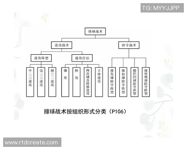 杭州排球队战术解析：包夹策略如何提升排球竞技水平